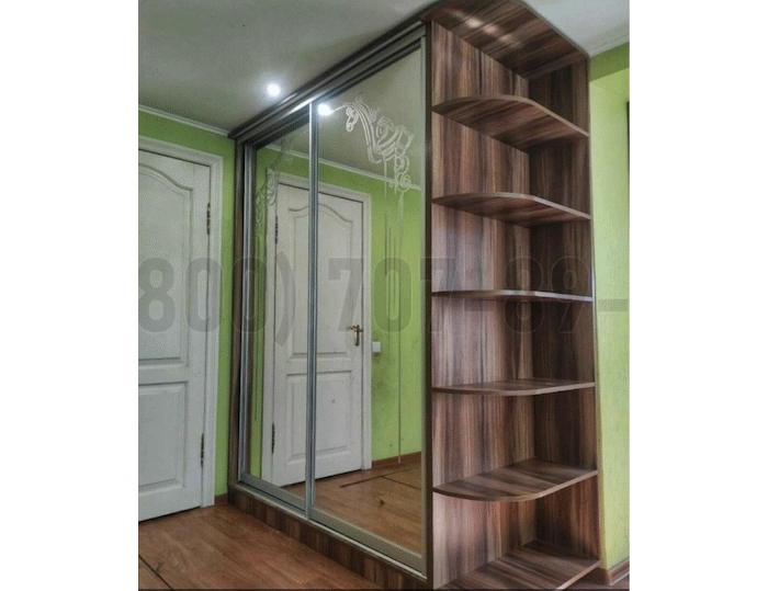 Серебряный шкаф в Черноголовке